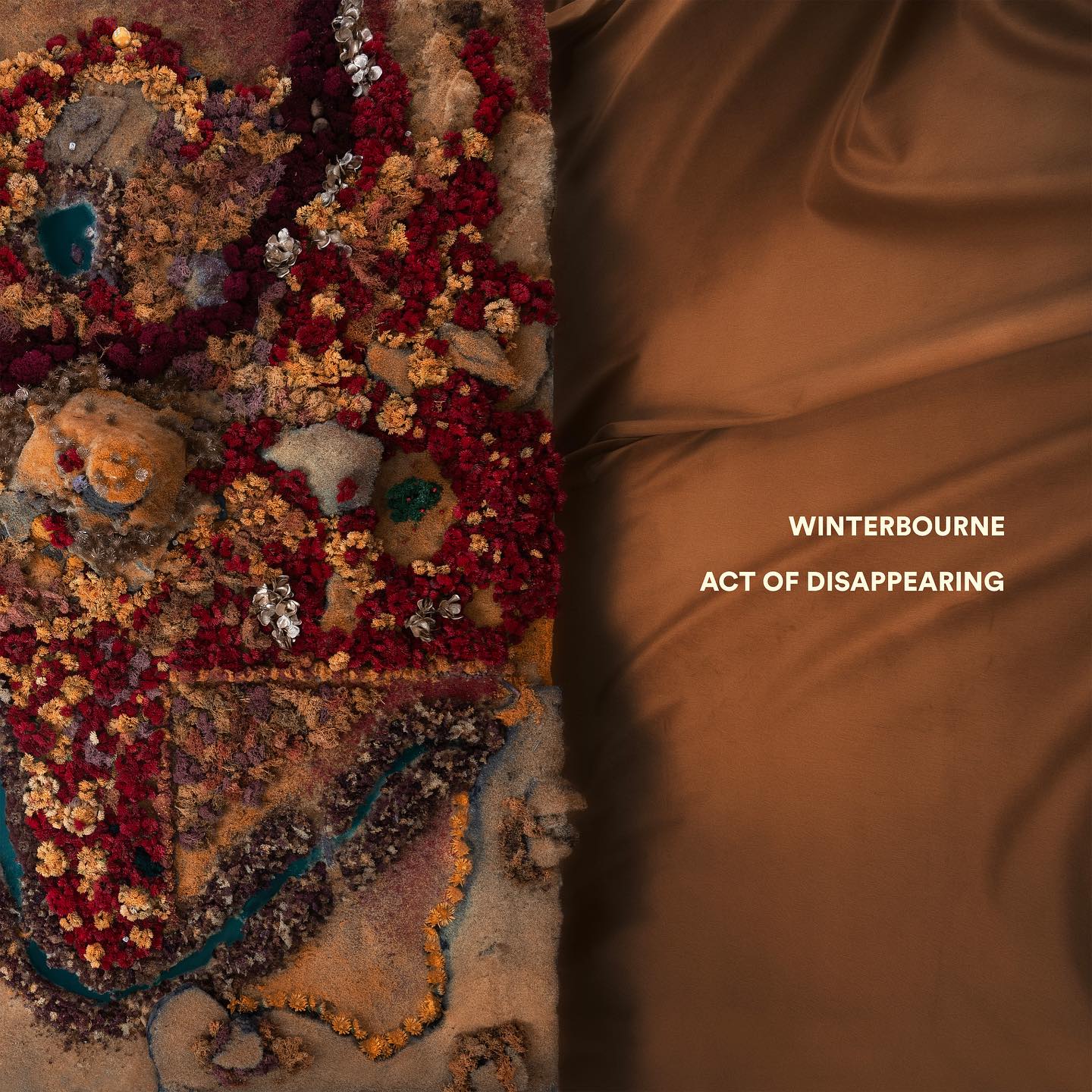 Winterbourne Act of Disappearing cover artwork
