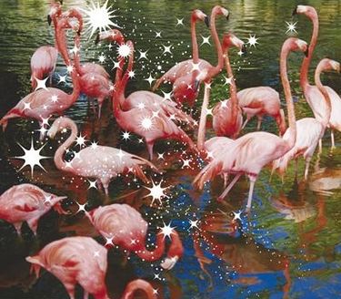 L&#039;arc~en~Ciel — 瞳の住人 cover artwork