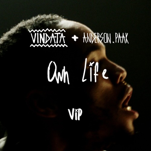 Vindata featuring Anderson .Paak — Own Life (VIP Mix) cover artwork