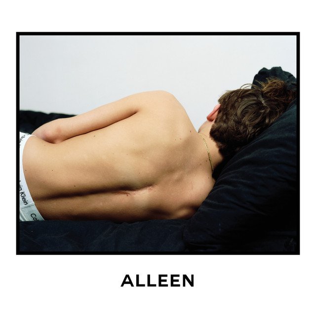 Lil Kleine — Alleen cover artwork