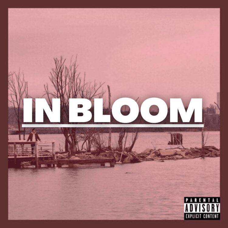 Lil Squeaky — In Bloom cover artwork