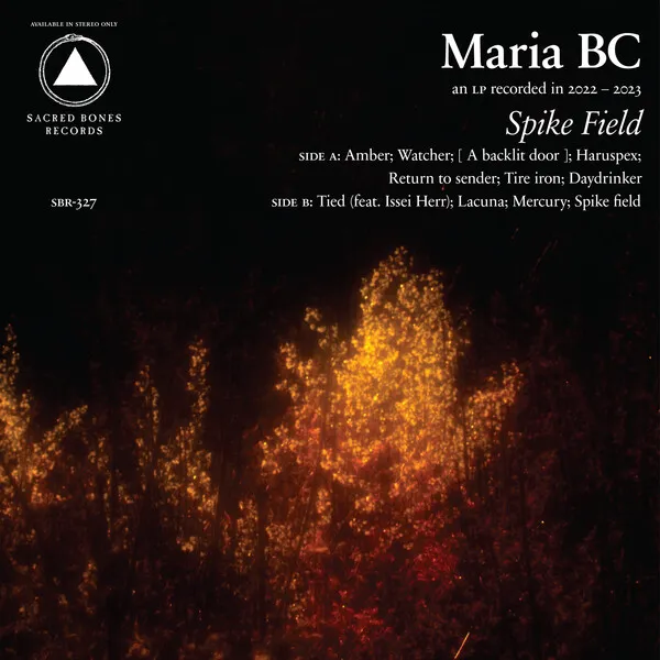 Maria BC — Amber cover artwork