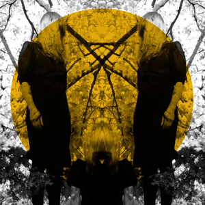Austra — Identity cover artwork