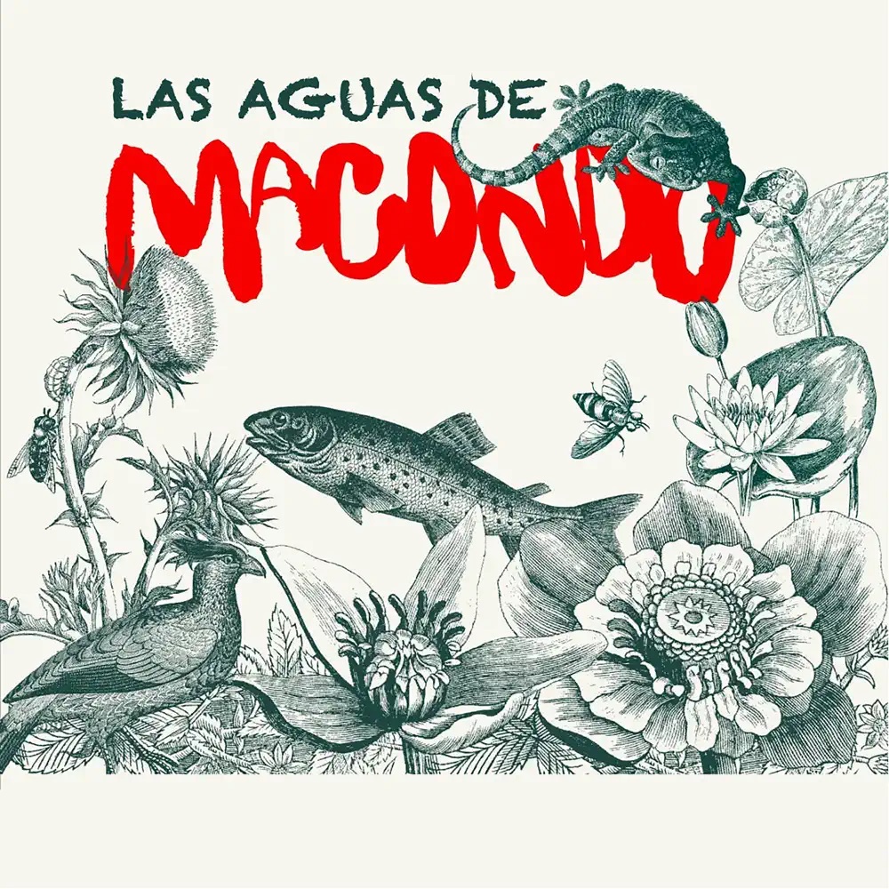 Las Áñez — Las Aguas de Macondo cover artwork
