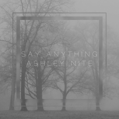 Ashley Nite — Say Anything cover artwork