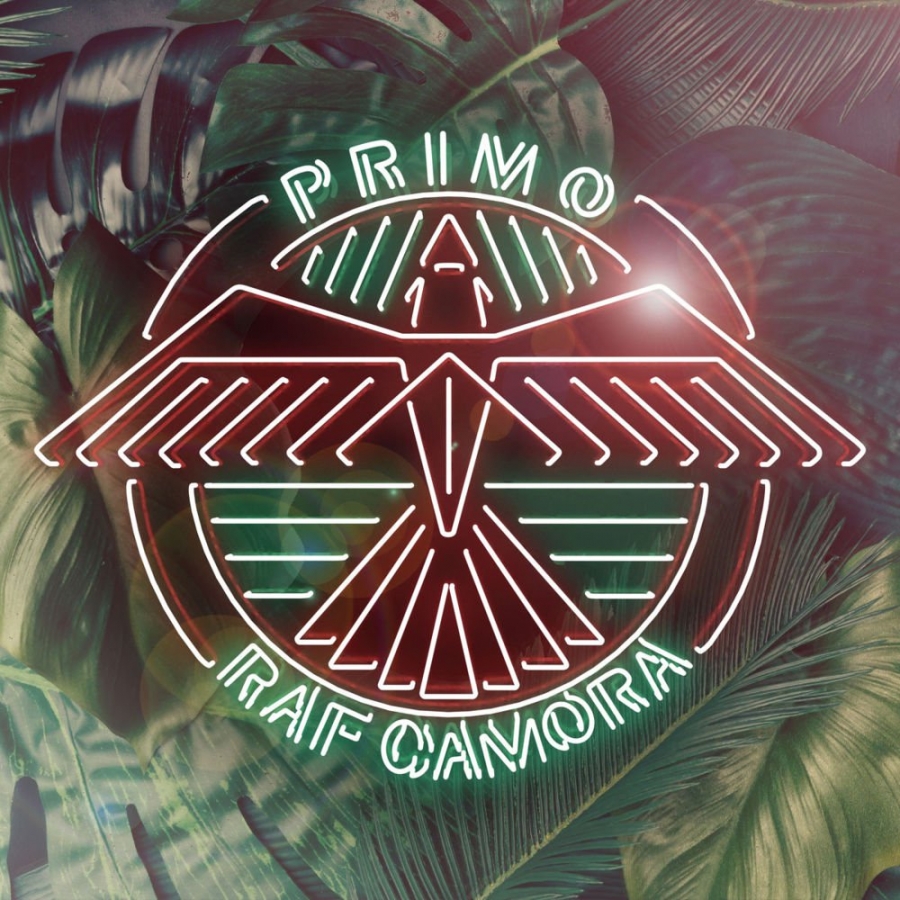 RAF Camora — Primo cover artwork