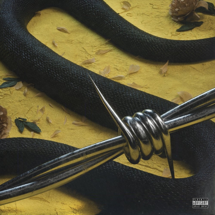 Post Malone featuring 21 Savage — rockstar cover artwork