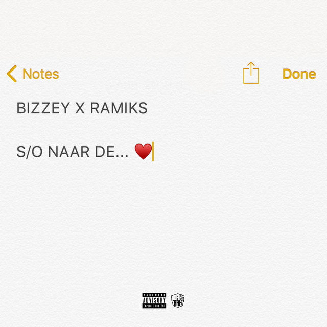 Bizzey & Ramiks — S/O Naar De... cover artwork