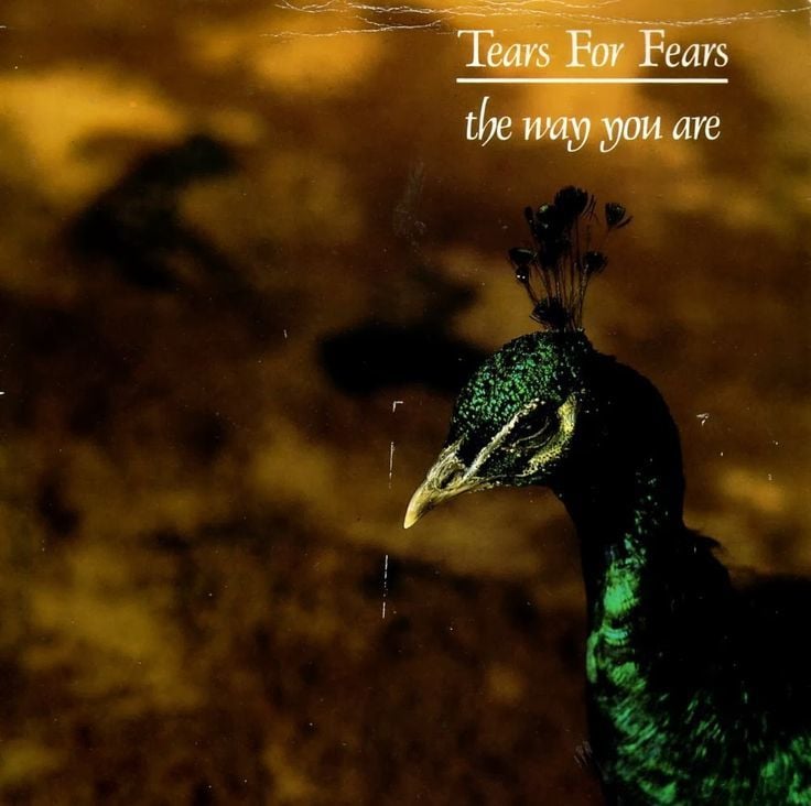 Tears for Fears The Way You Are cover artwork
