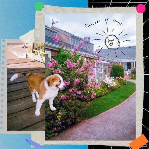 sleep well. Pictures of Dogs cover artwork