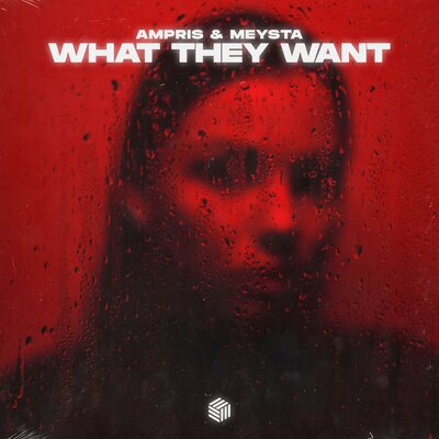 Ampris & MEYSTA — What They Want cover artwork