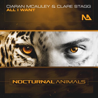 Ciaran McAuley & Clare Stagg All I Want cover artwork