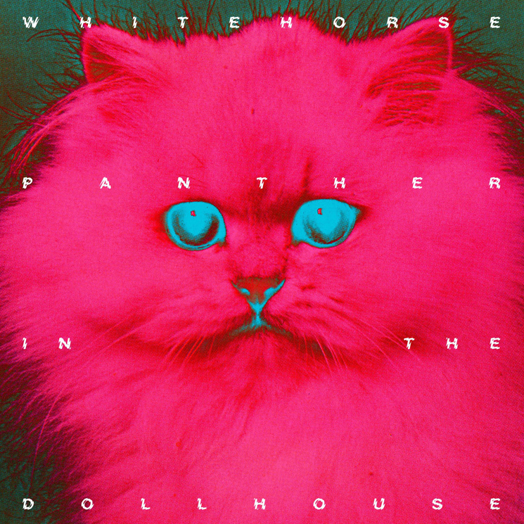 Whitehorse Panther In The Dollhouse cover artwork