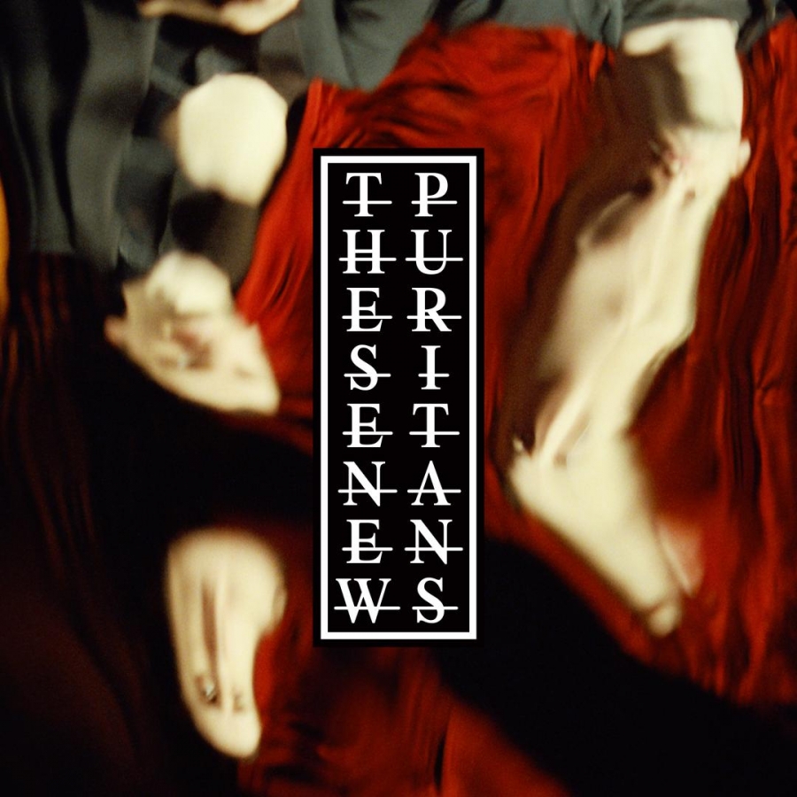 These New Puritans Anti-Gravity cover artwork