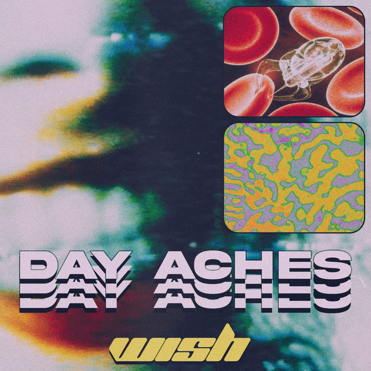 Day Aches — Wish cover artwork