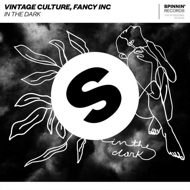Vintage Culture & Fancy Inc — In The Dark cover artwork