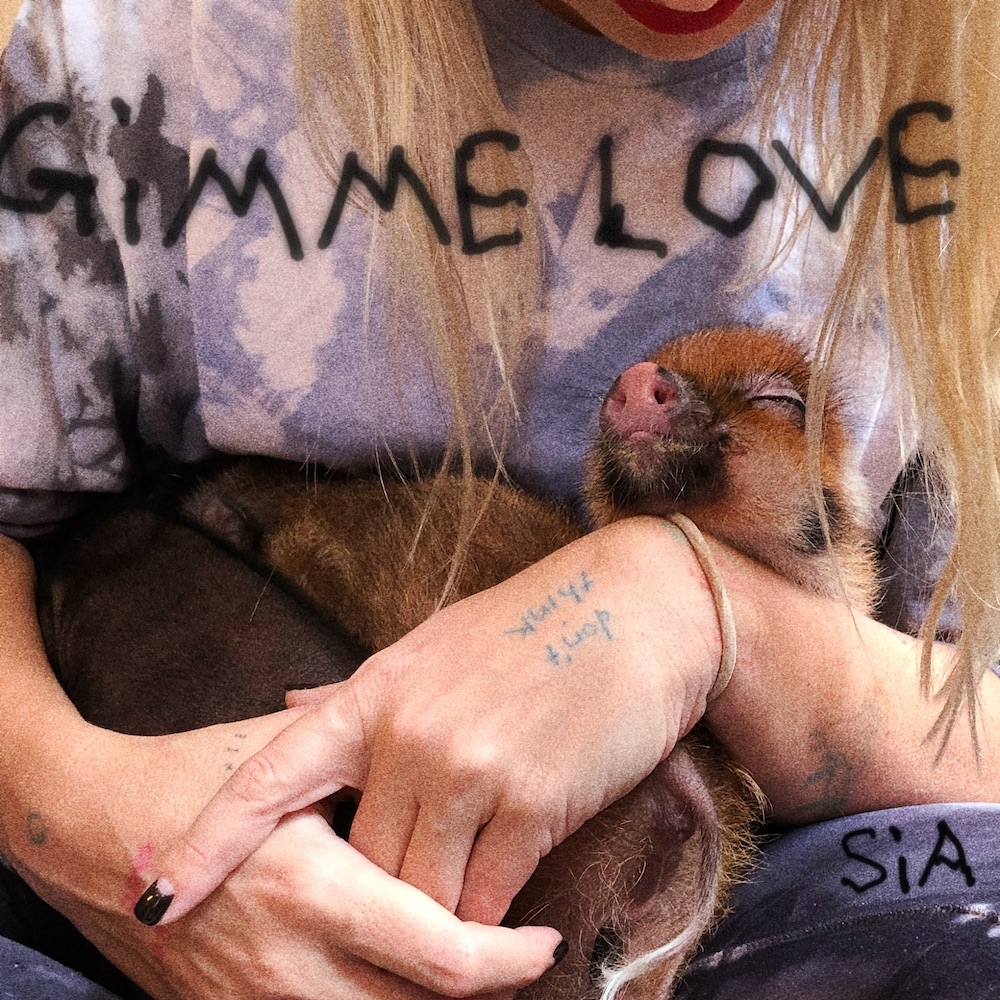 Sia Gimme Love cover artwork
