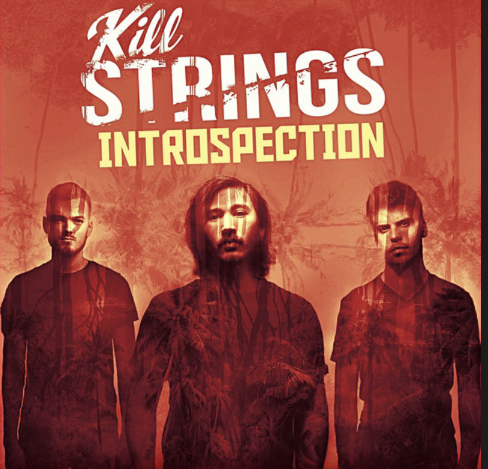 Kill Strings Introspection cover artwork