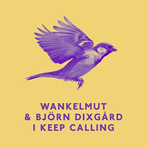 Wankelmut featuring Bjoern Dixgard — I Keep Calling cover artwork