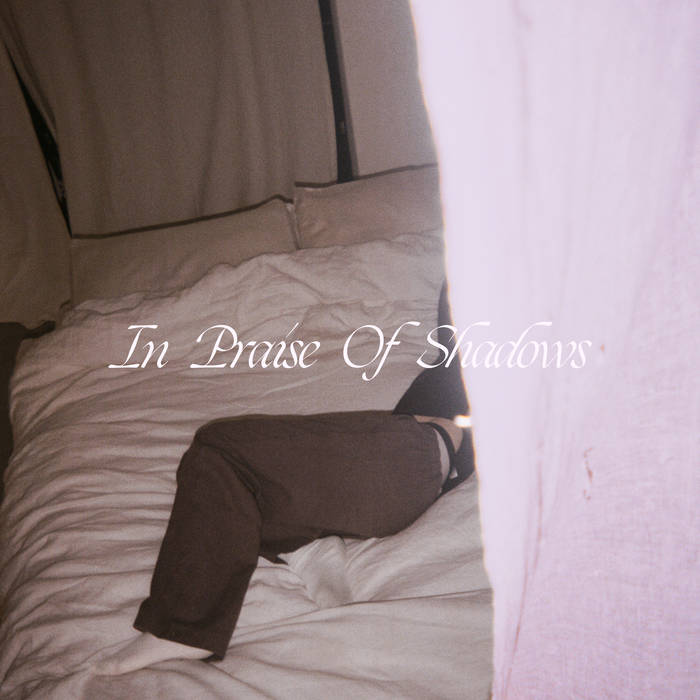 Puma Blue In Praise of Shadows cover artwork