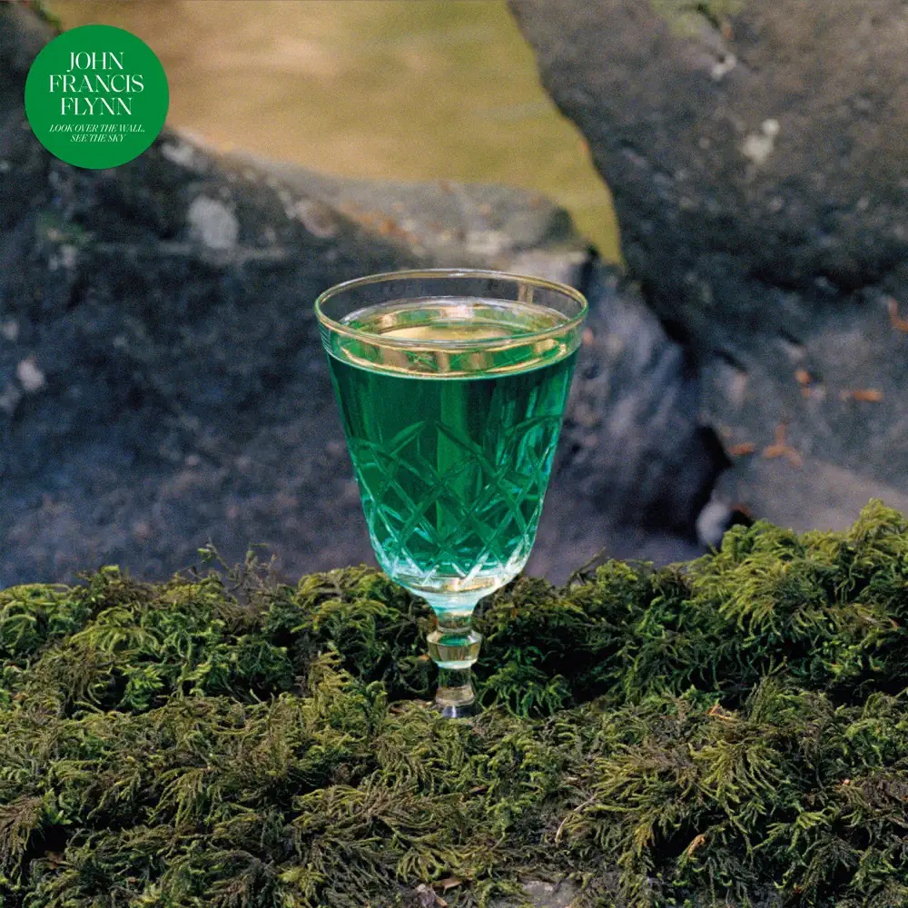 John Francis Flynn Look Over the Wall, See the Sky cover artwork