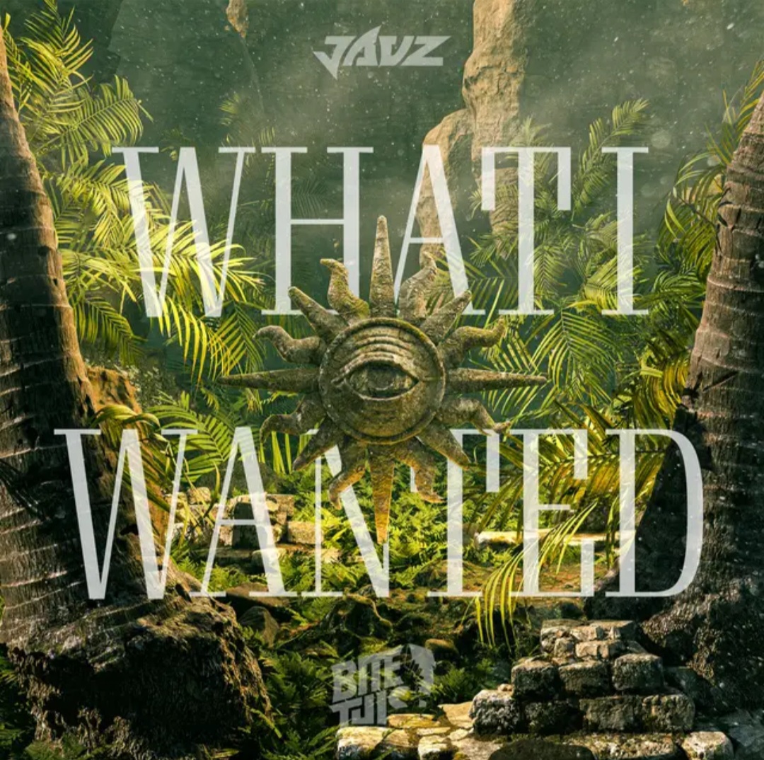 Jauz — What I Wanted cover artwork