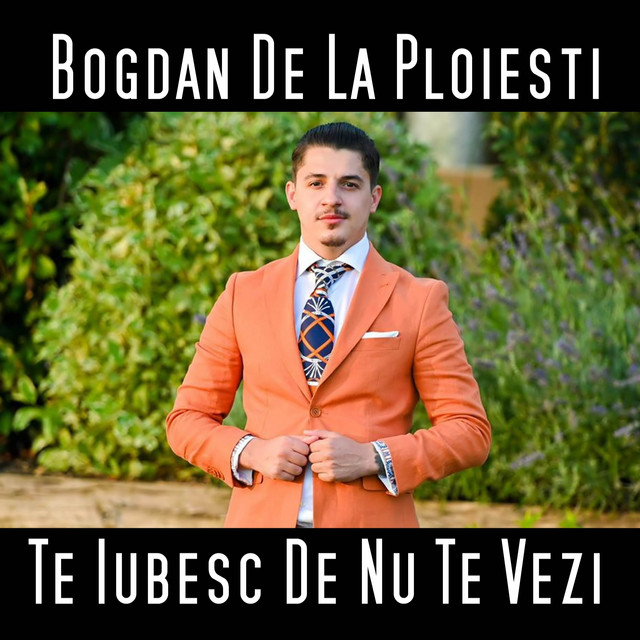 Bogdan DLP Te Iubesc De Nu Te Vezi cover artwork