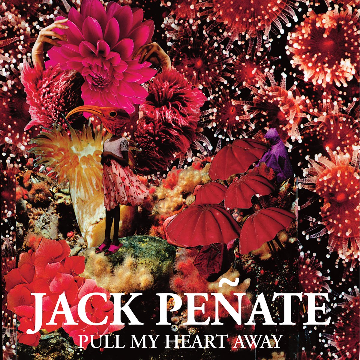 Jack Peñate Pull My Heart Away cover artwork