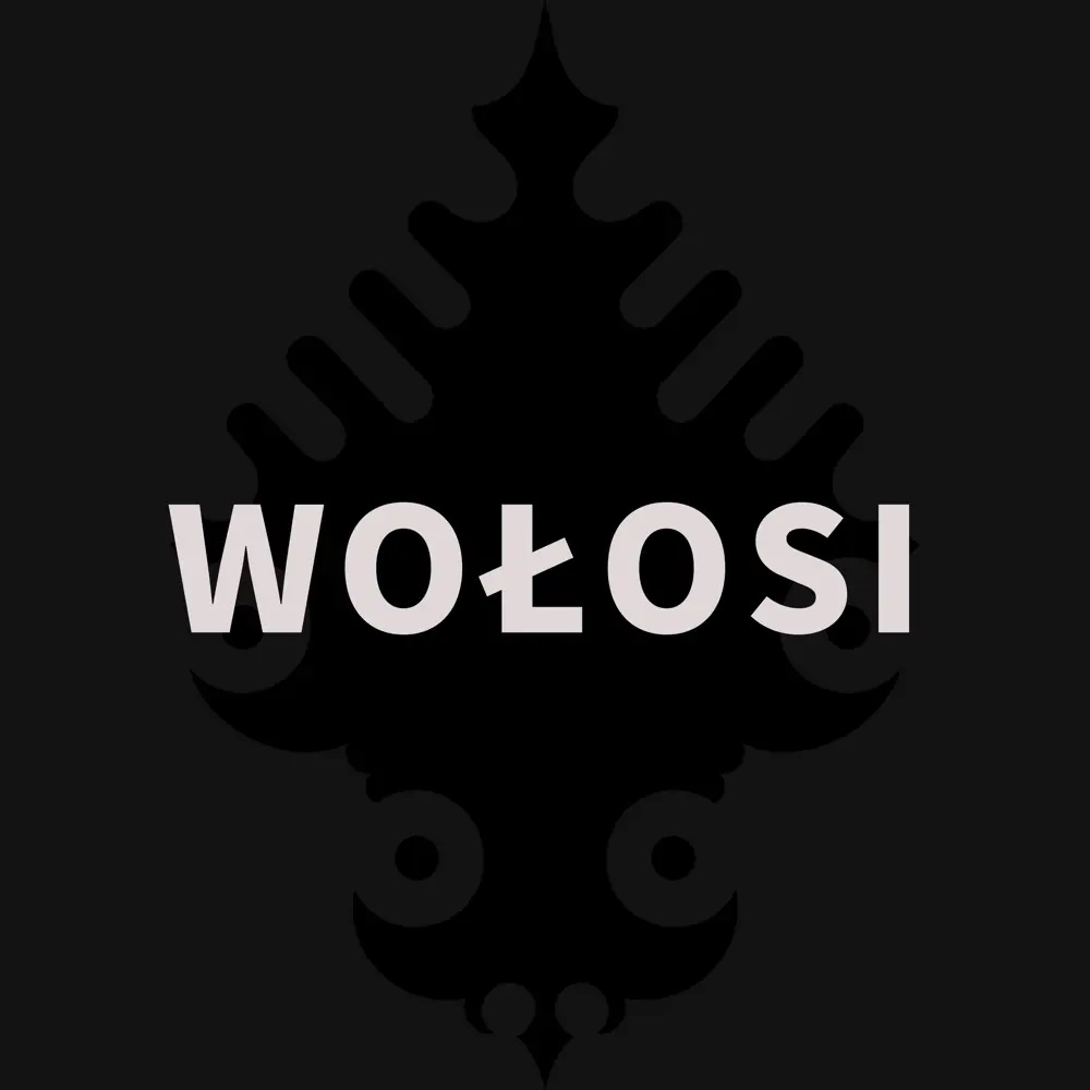 Zakopower & Ralph Kaminski — Wołosi cover artwork