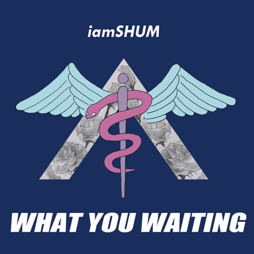 iamSHUM — WHAT YOU WAITING cover artwork