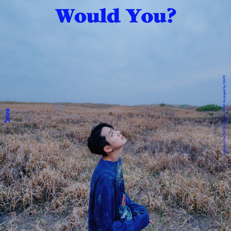 DAVII Would You? cover artwork