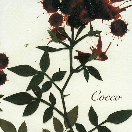 Cocco Sangrose cover artwork