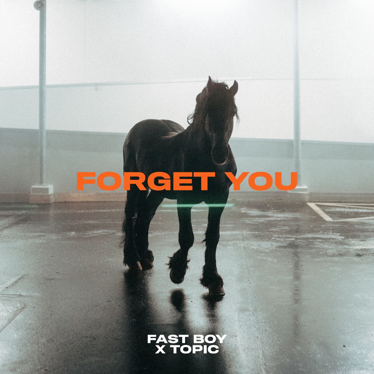 FAST BOY & Topic Forget You cover artwork