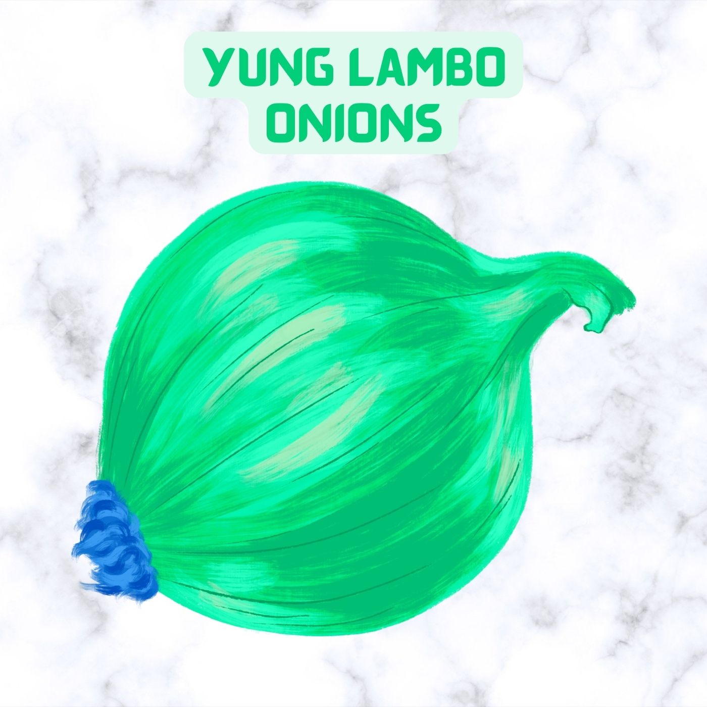 Yung Lambo featuring Lil Squeaky — Onions cover artwork
