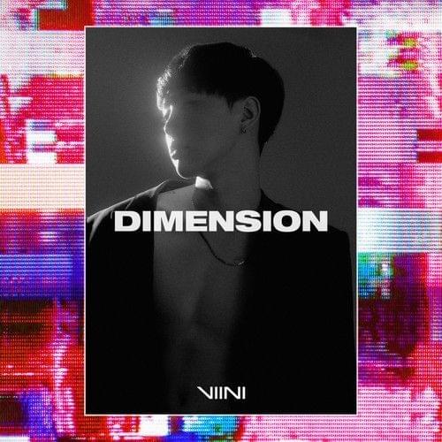 Viini Dimension cover artwork