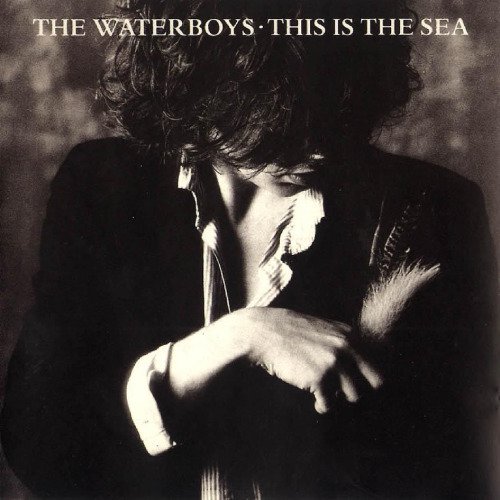 The Waterboys — Whole Of The Moon cover artwork