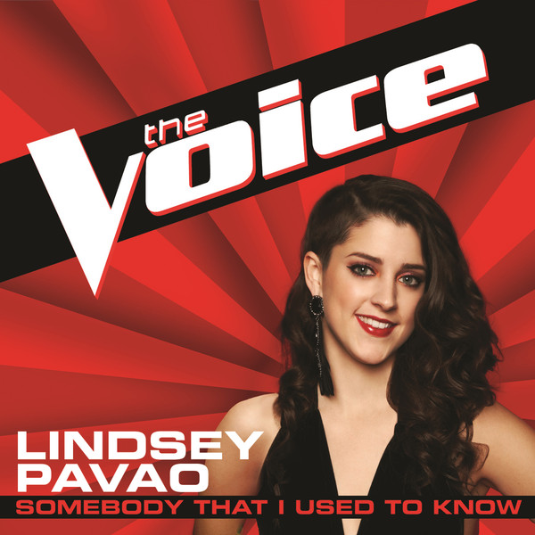 Lindsey Pavao Somebody That I Used to Know cover artwork