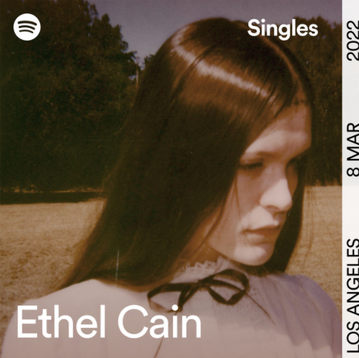 Ethel Cain Everytime cover artwork