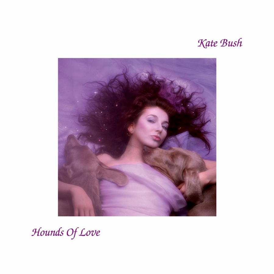 Kate Bush Hounds of Love cover artwork