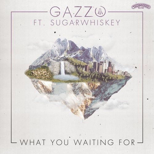 Gazzo featuring Sugarwhiskey — What You Waiting For cover artwork