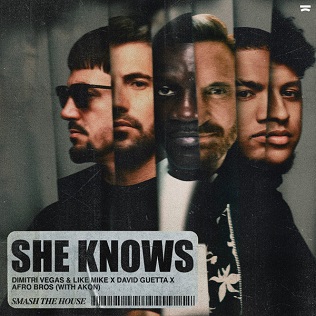Dimitri Vegas &amp; Like Mike, David Guetta, & Afro Bros featuring Akon — She Knows cover artwork