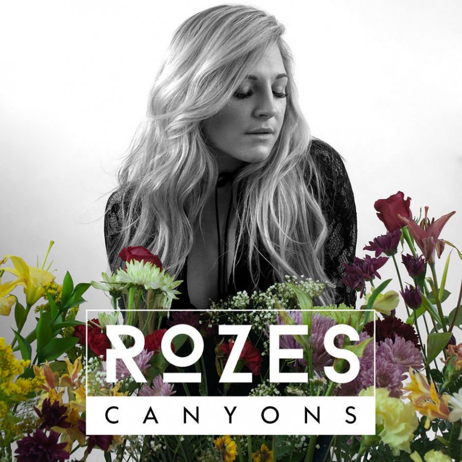 ROZES Canyons cover artwork
