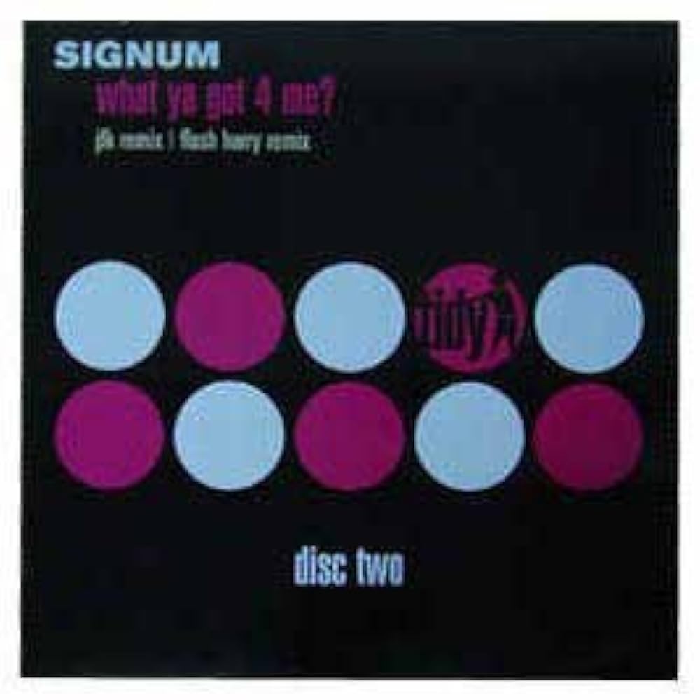 Signum — What Ya Got 4 Me? (Flash Harry Remix) cover artwork