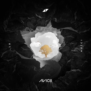 Avicii ft. featuring AlunaGeorge What Would I Change It To cover artwork