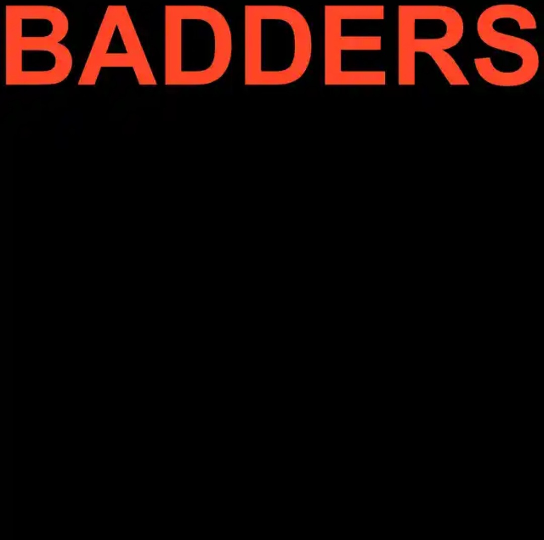 Skrillex, PEEKABOO, Flowdan, & G-Rex — BADDERS cover artwork