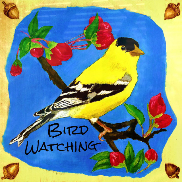 Funkmammoth Bird Watching cover artwork