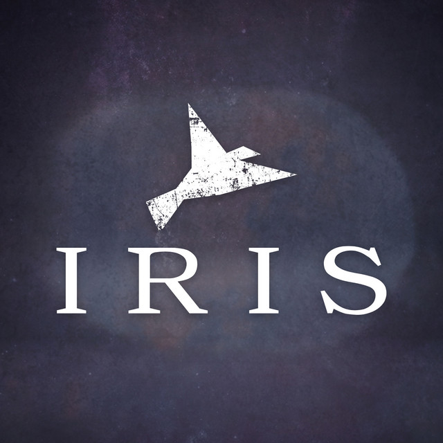 Flight Paths Iris cover artwork