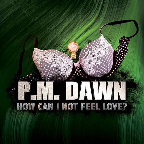 P.M. Dawn — How Can I Not Feel Love cover artwork