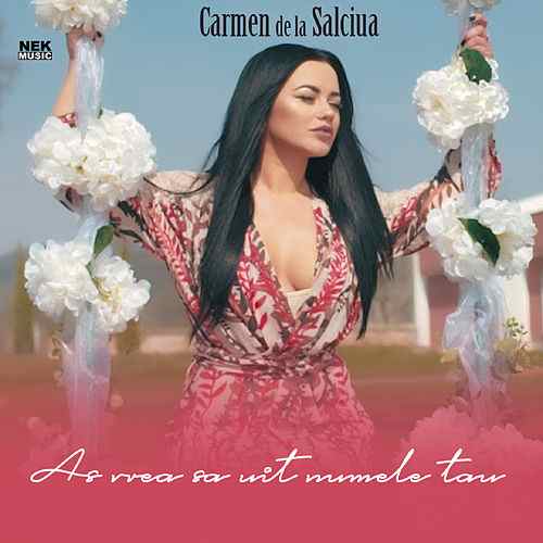 Carmen De La Salciua — As Vrea Sa Uit Numele Tau cover artwork