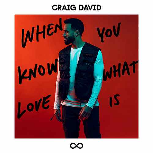 Craig David — When You Know What Love Is cover artwork